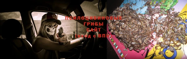 стафф Вязьма