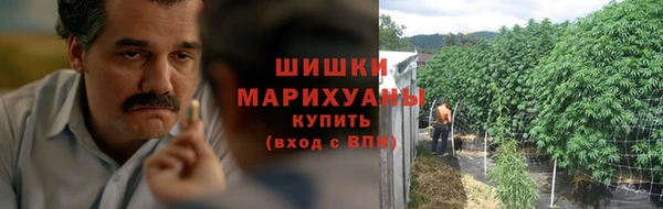 дурь Горнозаводск