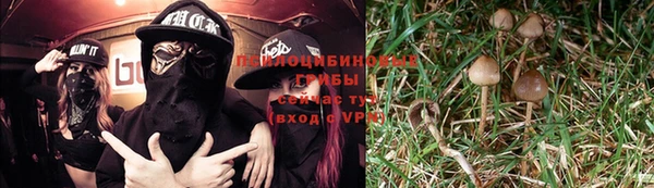 дурь Горнозаводск