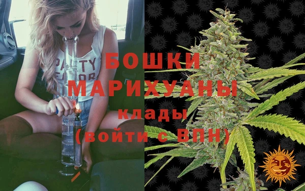 мдпв Вязники