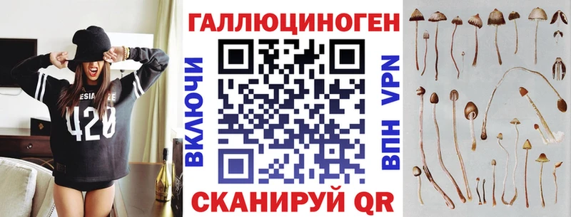 Галлюциногенные грибы ЛСД  Купить где  Бородино 